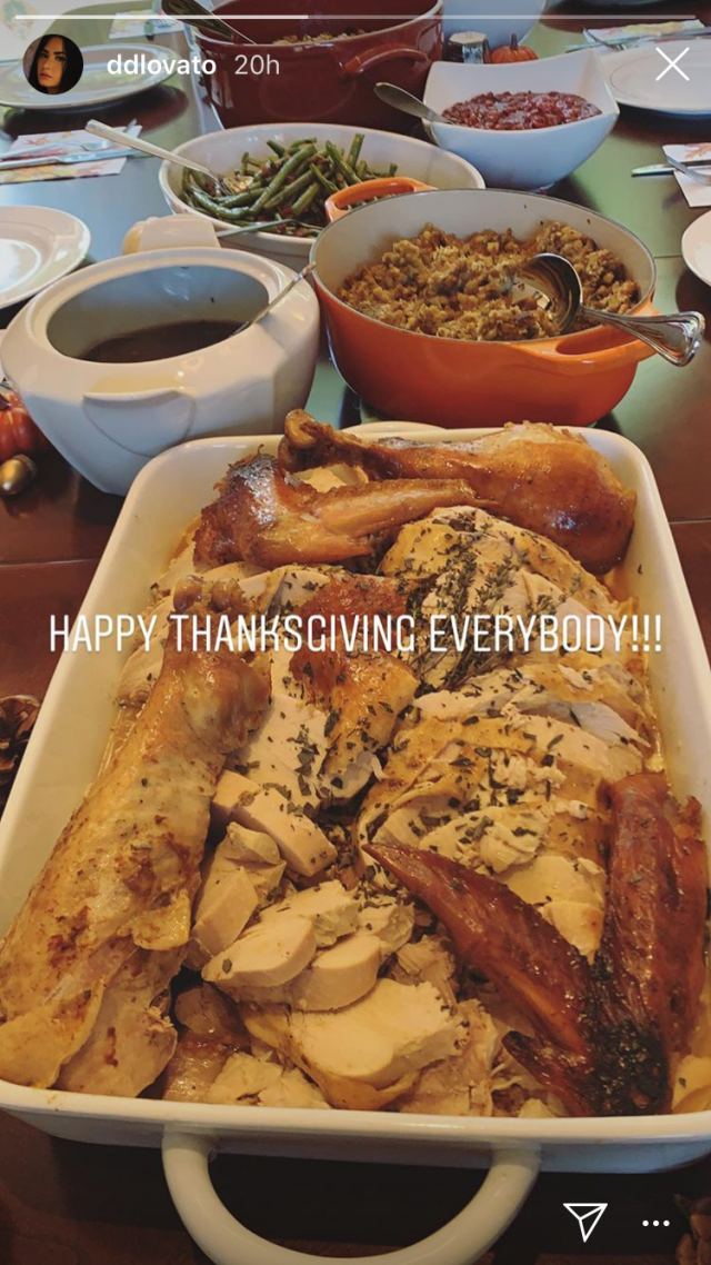 demi_lovato_thanksgiving.png 