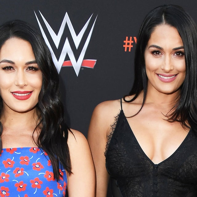 Nikki and Brie Bella Quit WWE and Drop 'Bella Twins' Title