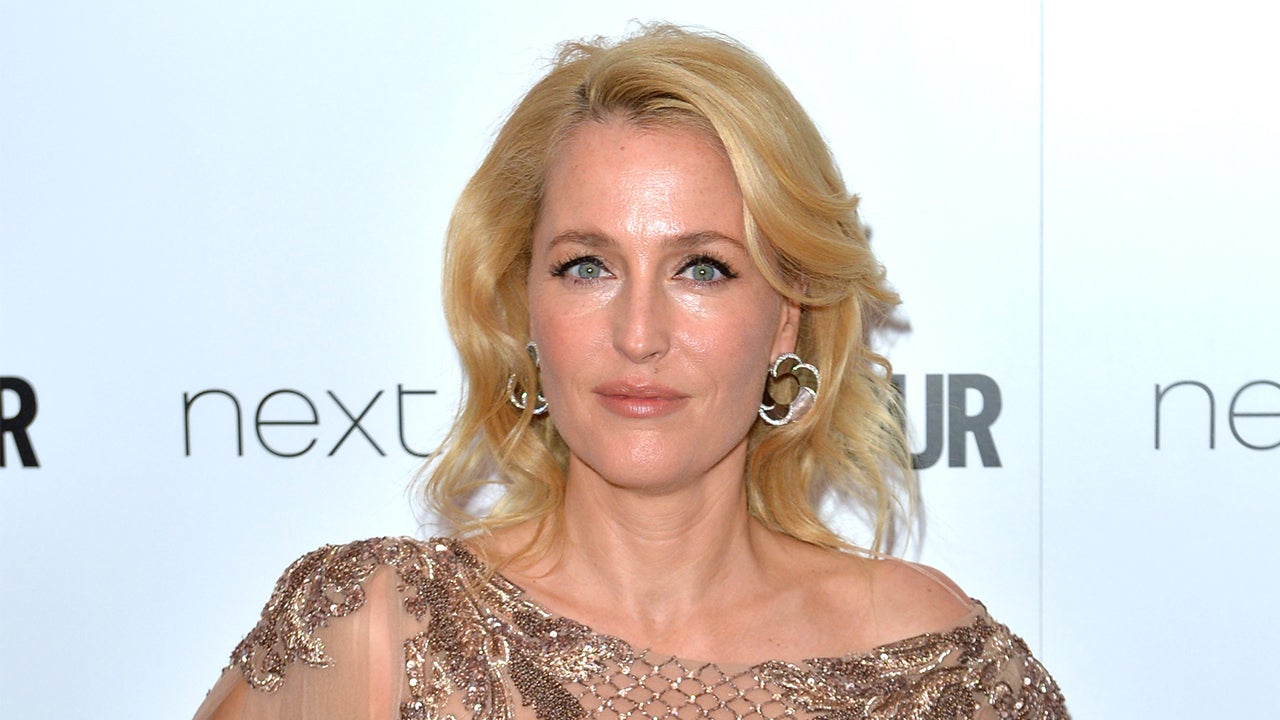 Gillian Anderson Has Slight Wardrobe Malfunction in Sheer Dress