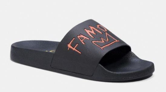 coach famous slides