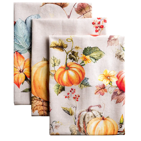 Maison d' Hermine Potiron 100% Cotton Kitchen Towels