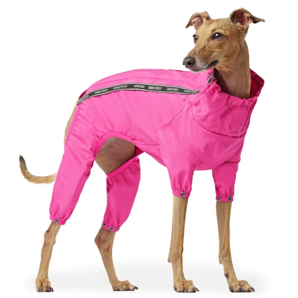 Canada Pooch Pink Slush Suit for Dogs