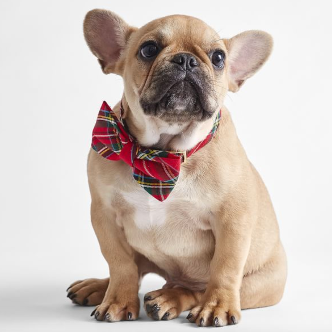 Mark & Graham Foggy Dog Plaid Bow Tie