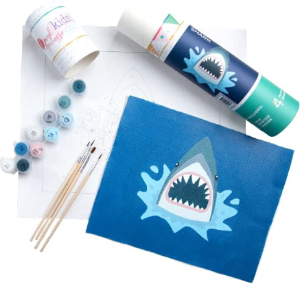 Pink Picasso Kits  Shark Tank Shopper
