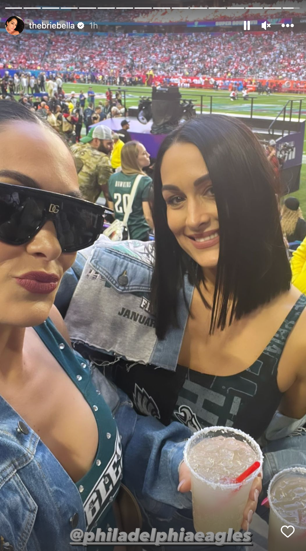 Celebrities Who Are Philadelphia Eagles Fans