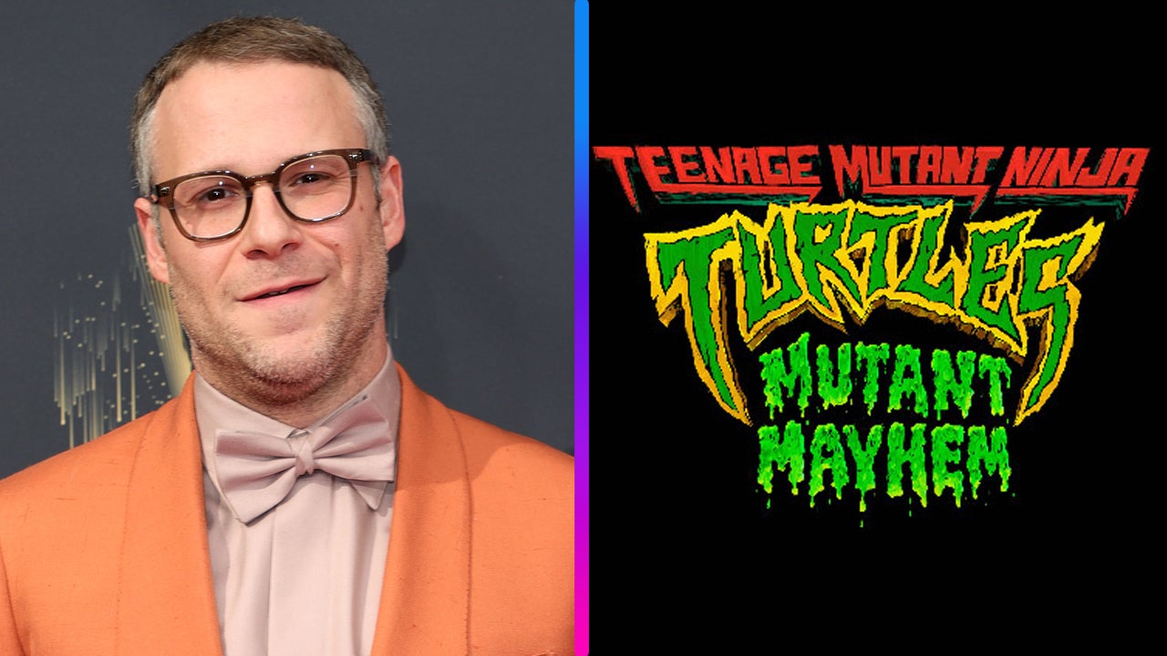 Seth Rogen The Teenage Mutant Ninja Turtles Movie