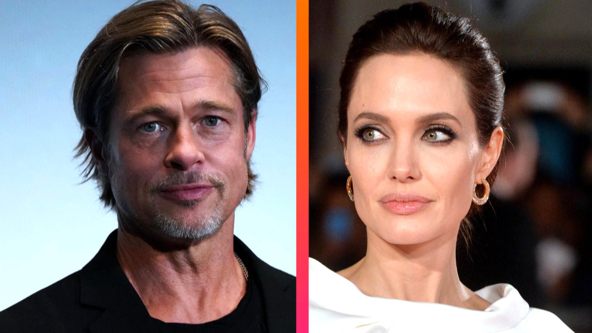 Brad Pitt accused of 'looting' French winery he owned with Angelina Jolie -  National
