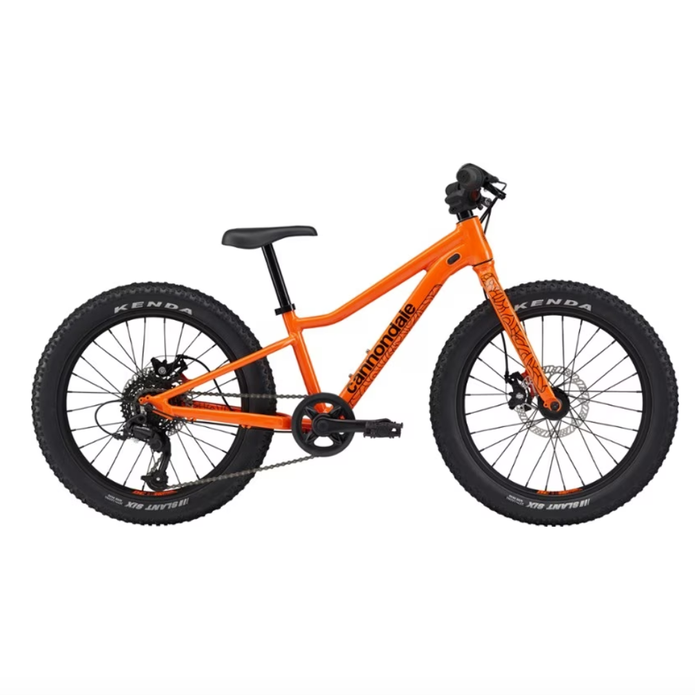 Cannondale Trail Plus 20 Kids' Bike