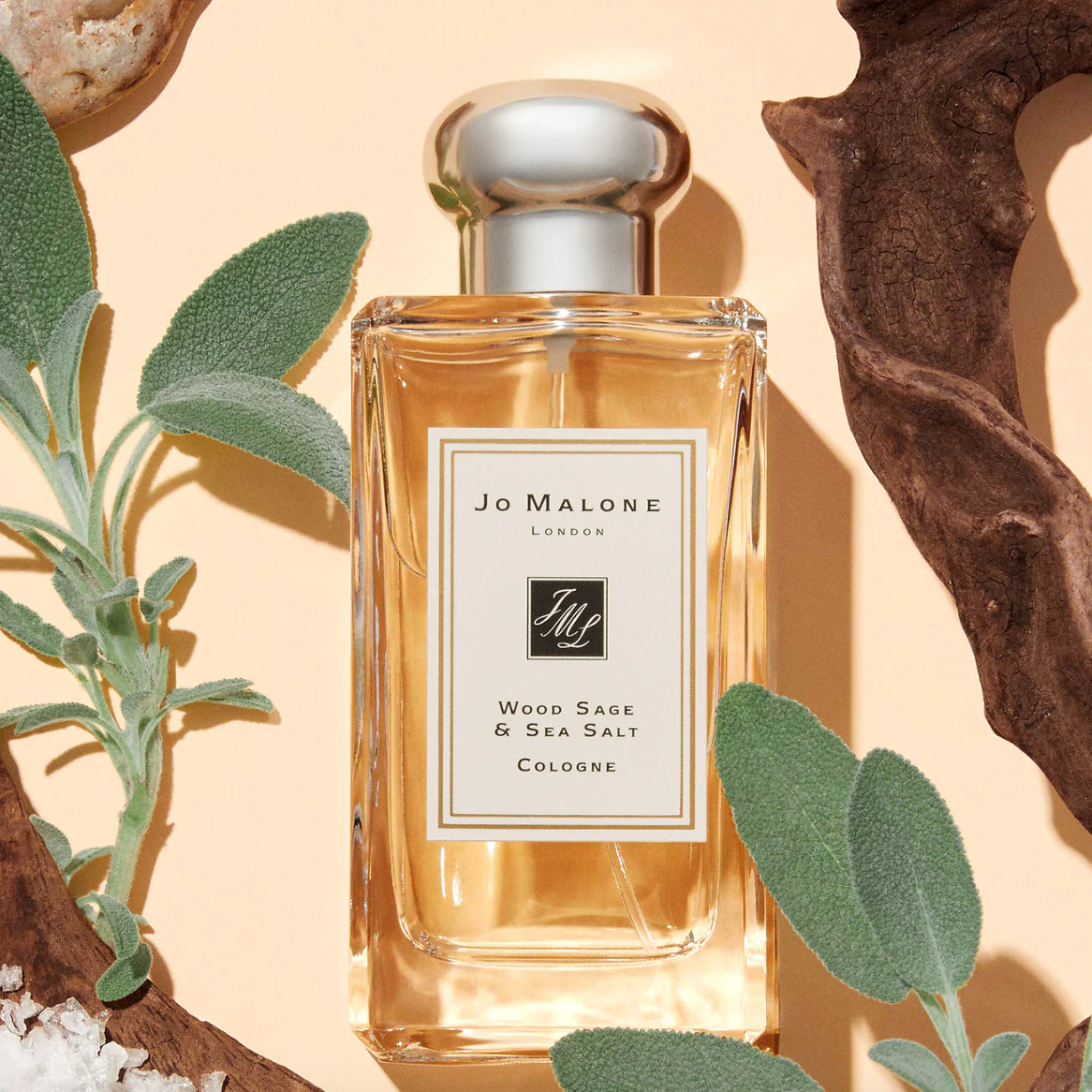 Exotic Mimosa Zara perfume - a new fragrance for women 2022
