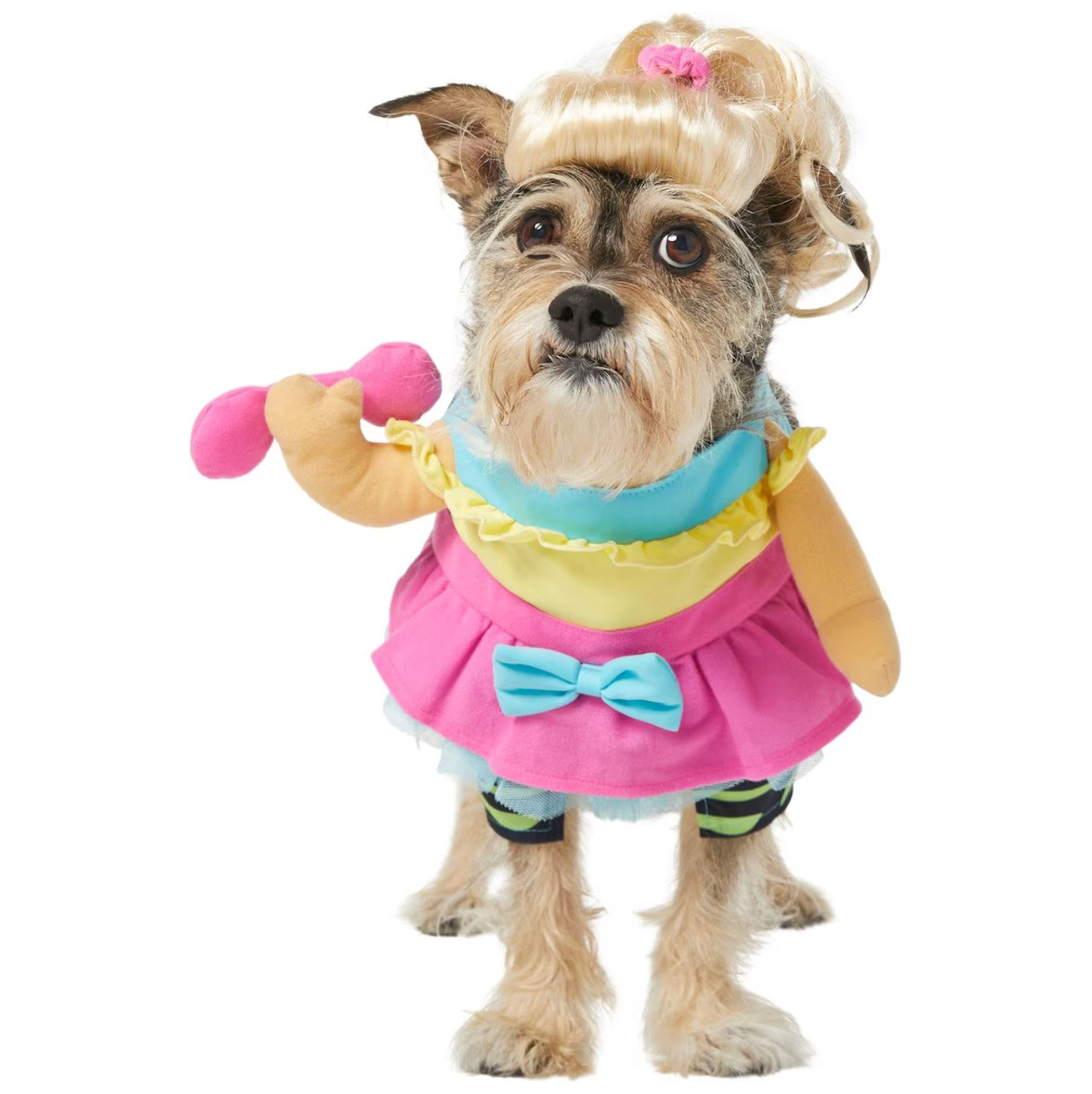 The Best Dog Halloween Costume Ideas 2023 to Put a Spell on Everyone: Hocus  Pocus, Baby Yoda and More