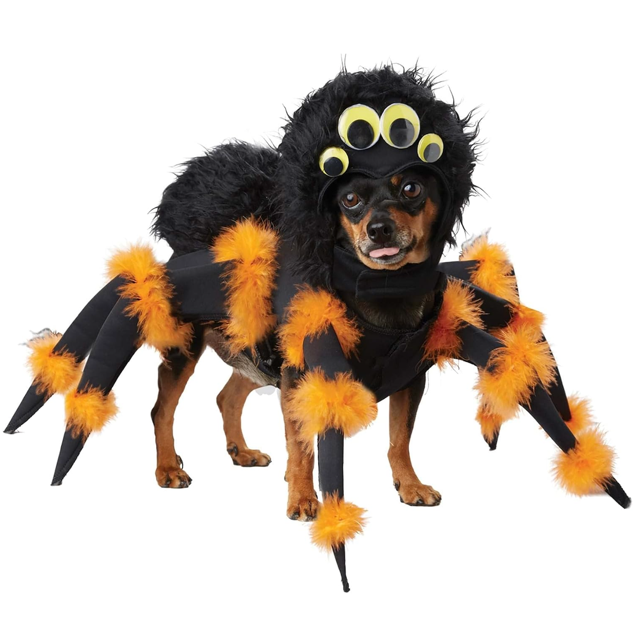 It's Never Too Early To Think About Dog Halloween Costumes