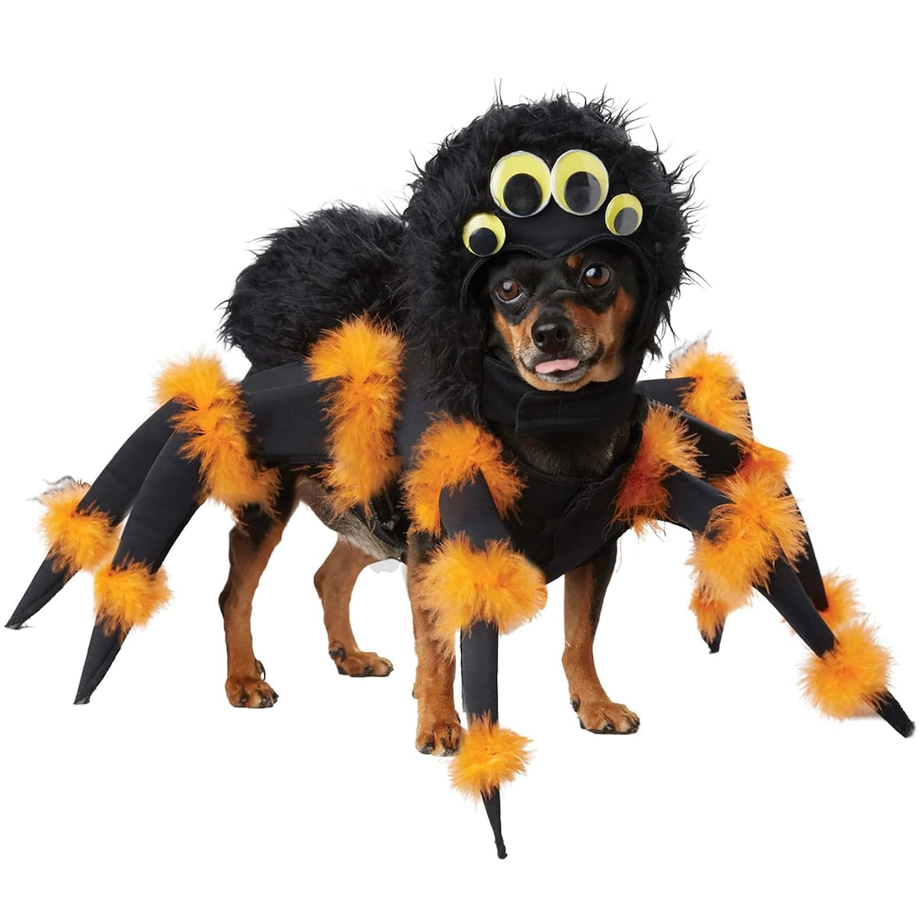 Hocus Pocus in 2023  Cute dog costumes, Dog photography, Dog pictures