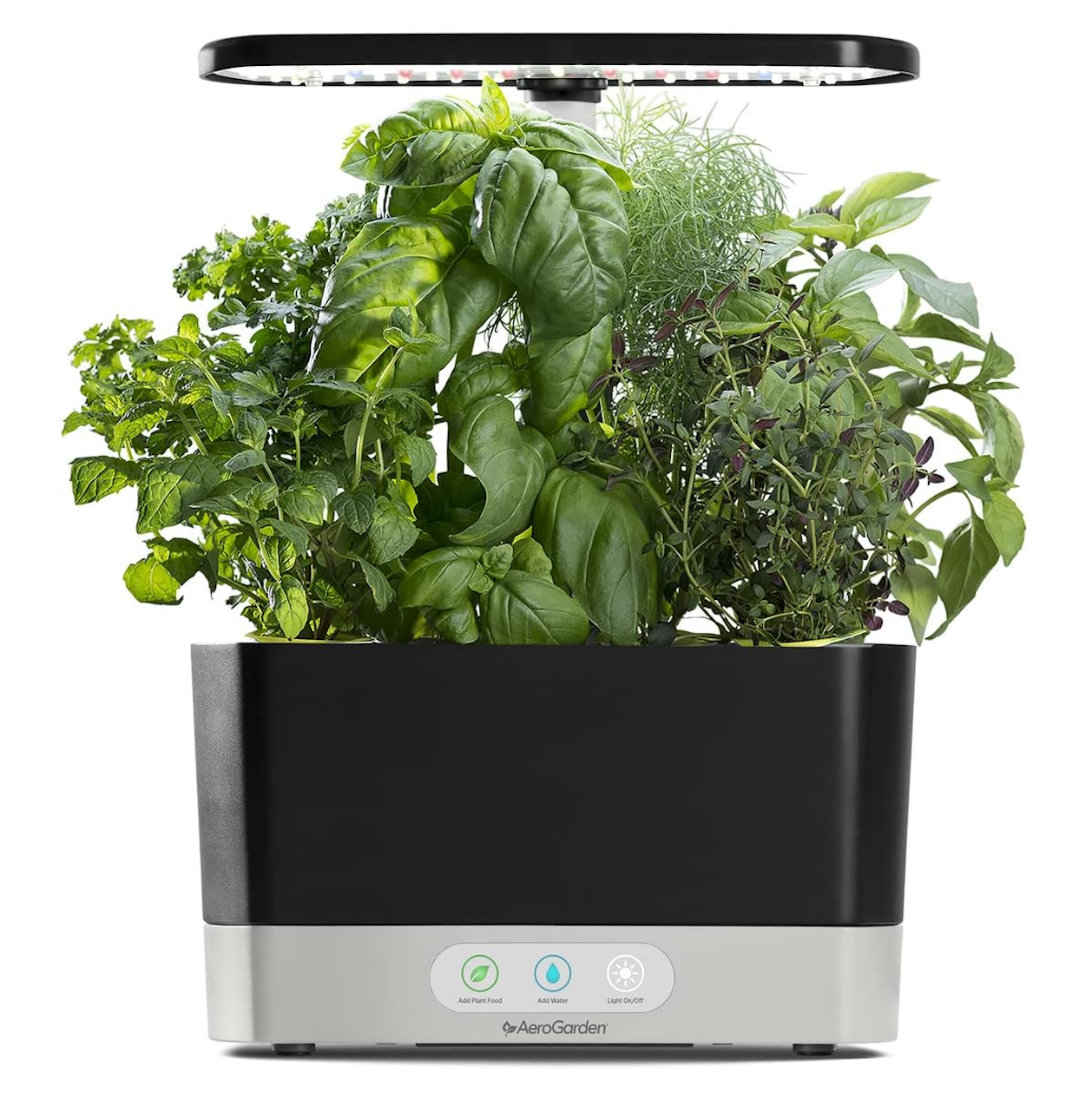 Best 14  Prime Day 2023 Gardening Deals: Shop Plant Deals!