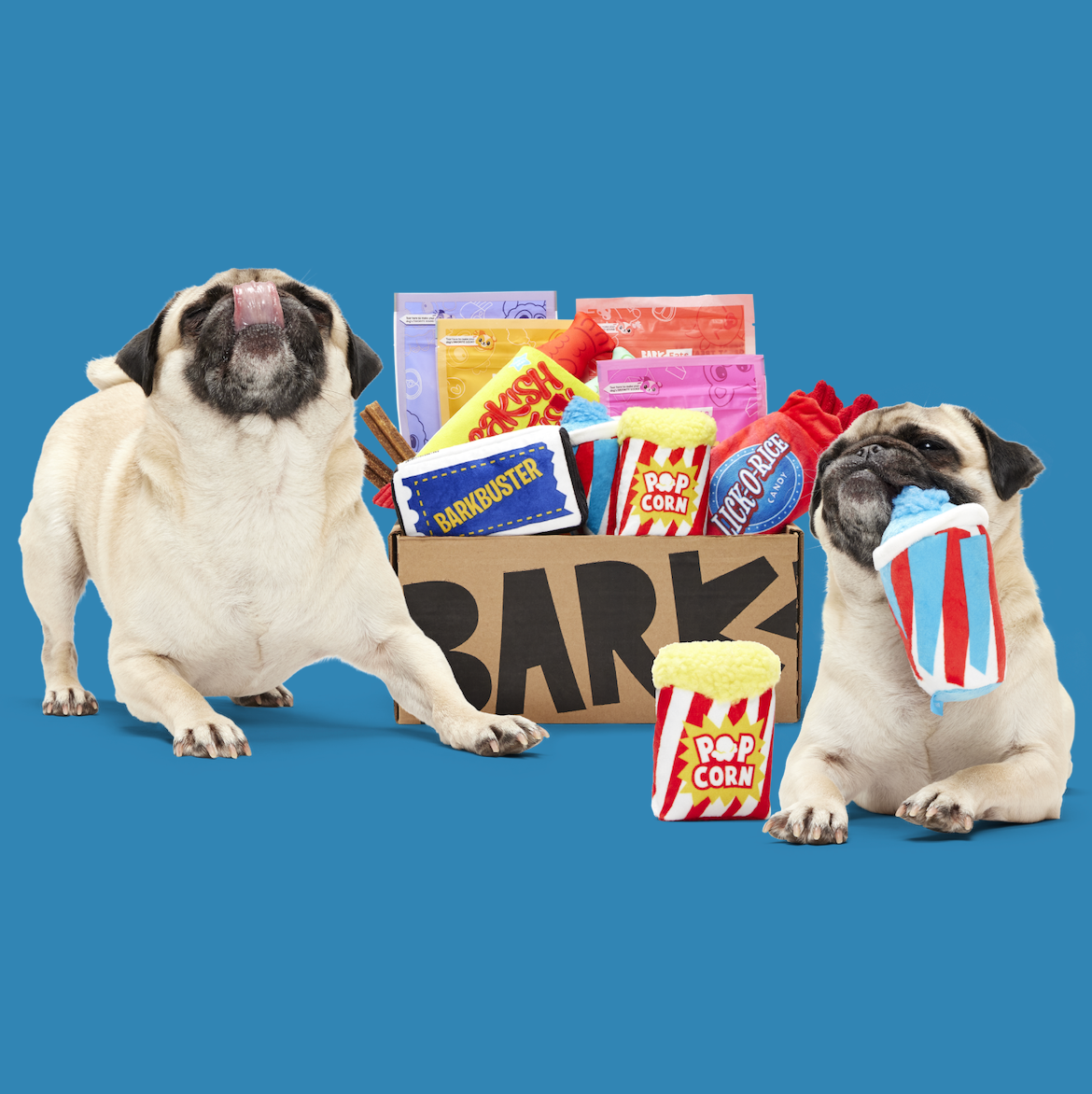 Barkbox Monthly Subscription Box