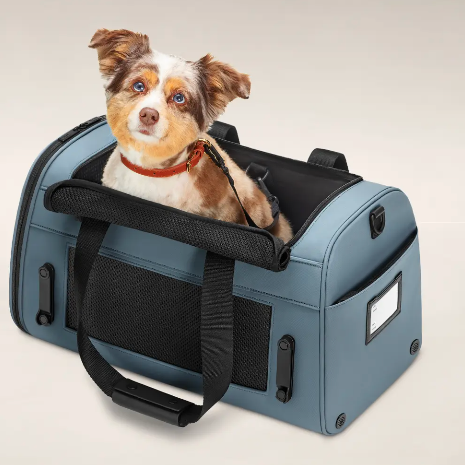 The Pet Carrier