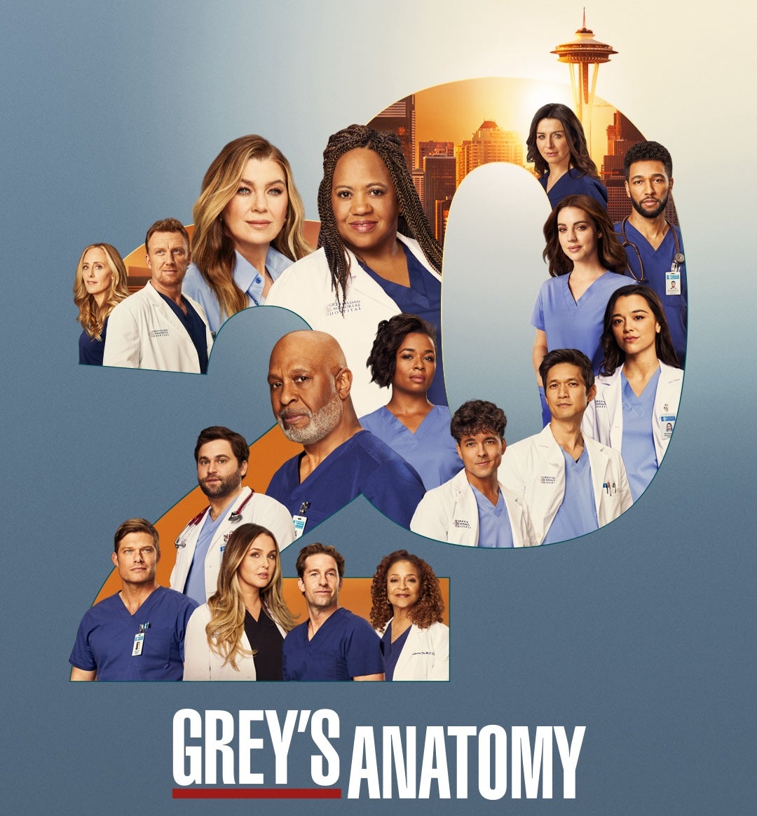 Pin by AndreiIHS on Hospitals | Greys anatomy, Grey's anatomy tv show, Watch  greys anatomy