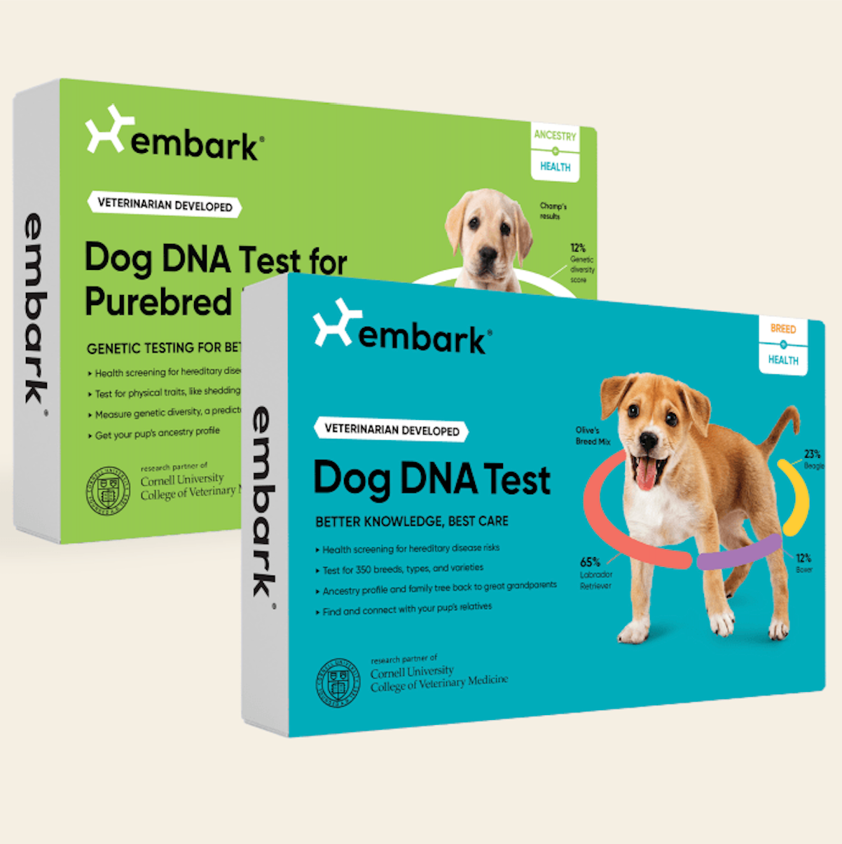 Embark Dog DNA Test: Here's Everything You Need to Know About the ...