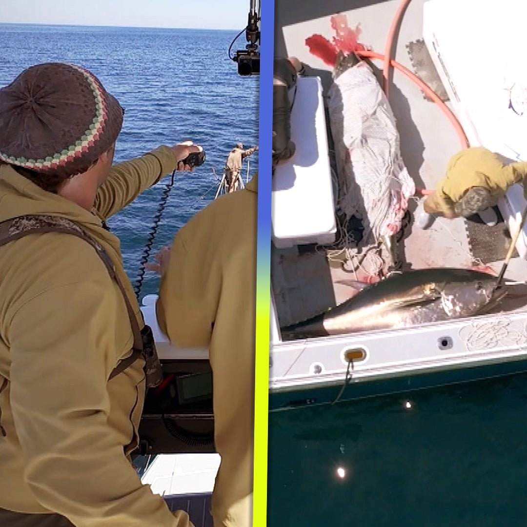 'Harpoon Hunters': Watch Fisherman Spear Nearly 8-Foot-Long Tuna! (Exclusive)