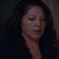 RELATED: 'Grey's Anatomy' Boss Addresses Sara Ramirez's Exit: 'I Had a Different Plan'