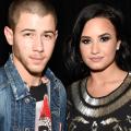 NEWS: Nick Jonas Sends Sweet Birthday Message to Demi Lovato -- See the Pic!