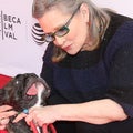 RELATED: Gary the Dog's Tweets After Carrie Fisher and Debbie Reynolds' Deaths Are Heartbreaking