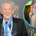 Ian McKellen Explains Why He Turned Down the Chance to Play Dumbledore in 'Harry Potter' Franchise