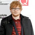 MORE: Ed Sheeran Steps Out After Bicycle Accident Forces Him to Cancel Shows