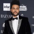 RELATED: The Weeknd Shares Photo of New Puppy Following His Selena Gomez Split