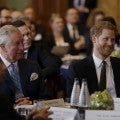 Prince Harry Kicks Off Valentine's Day Promoting Environmental Health With Dad Prince Charles