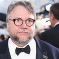 Director Guillermo Del Toro Announces Divorce Days After Oscars Wins for 'The Shape of Water'