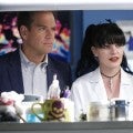 PICS: Michael Weatherly Gets Emotional Over Pauley Perrette's Final Episode of 'NCIS'