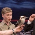 Jimmy Fallon and Robert Irwin Mimic Cardi B to Speak to a Kookaburra Bird