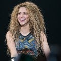 Shakira's Boys See Her 'El Dorado' Concert for the First Time -- Watch!