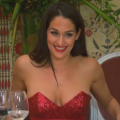 Inside Nikki Bella's Awkward Bachelorette Party Before Calling Off Wedding With John Cena
