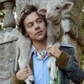 Harry Styles' New Fashion Campaign Has Him Posing With Cute Baby Animals Again