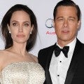 Brad Pitt and Angelina Jolie Release New Wine Despite Split 