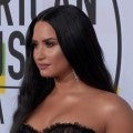 Demi Lovato Shares Thanksgiving Message to Fans After Unfollowing Celeb Friends