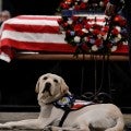 George H. W. Bush's Service Dog Sully Immortalized With Statue in Texas