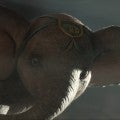 'Dumbo' Cast Reveals How Their 'New, Modern Take' Differs From the Original (Exclusive)