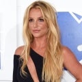 Britney Spears Poses in Zebra Bikini After Squashing Rumors About Who's Behind Her Instagram Posts