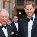 Prince Charles Meets His Grandson Archie!