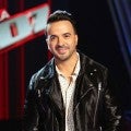 Luis Fonsi Explains How Album 'Vida' Is the Perfect 'Mixture of Both Sides of Who I Am' (Exclusive)