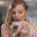 Taylor Swift Has a Cute New Cat -- Who Is Already a Music Video Star!