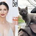 'Outlander': Caitriona Balfe Dishes on Season 5 and Why Cute Cat Adso Is Causing Trouble on Set! (Exclusive)