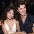 Camila Cabello Gushes Over First Kiss With 'Him' (Aka: Shawn Mendes) During Special Performance