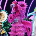 'The Masked Singer' Premiere: The Biggest Clues, Best Performances and Surprise Celeb Reveals