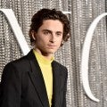 Met Gala 2021 Co-Chairs: Timothee Chalamet, Billie Eilish and More