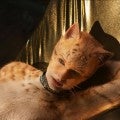 'Cats' Movie Explained: Breaking Down the Story, Music and Digital Fur Technology