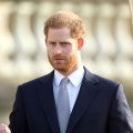 Prince Harry Speaks Out on Social Media's Role in the Capitol Riots