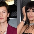 Camila Cabello and Shawn Mendes Send Video Message from Quarantine During Kids' Choice Awards